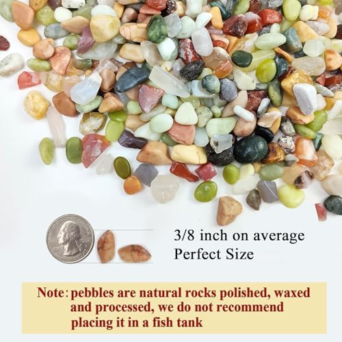 FANTIAN 10 lbs Small Succulent Rocks, 3/8 Inch Colorful Polished Pebbles for Indoor Plants. Decorative Rocks for Plants Indoor, Vases, Planters Aquarium and Outdoor Landscaping Garden - Image 2