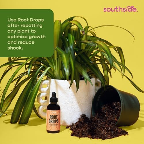 Root Drops - Liquid Rooting Hormone for Cuttings | Fast Propagation Drops, Stronger Roots, Less Shock | Works in Water, Soil, Leca, Moss| For all Indoor Houseplants like Pothos, Monstera, Philodendron - Image 5