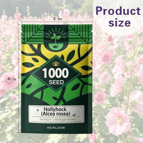 Hollyhock Seeds 1000 pcs Cottage Garden Seeds, Biennial Flowers - Image 7