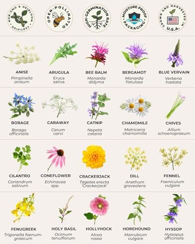 Tactiko Medicinal & Tea Herb Seeds Kit | 40 Varieties | Non-GMO | US Grown - Image 4