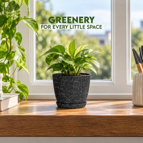 Plant Pots Indoor with Drainage 10 Pack Multi-Size Planters Spotty Black - Image 5