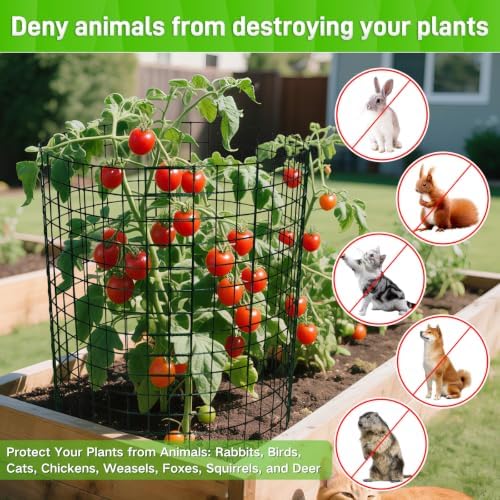 8 Pack 13.8x12 inch Plant Protector, Wire Garden Cages with Stakes & Ties - Image 4