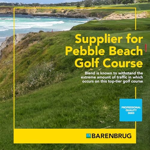 Barenbrug Pebble Beach Sun & Shade Grass Seed Mixture for Lawn Repair & Growth, Pebble Beach Golf Course Approved Blend, 20 LB Bag - Image 3