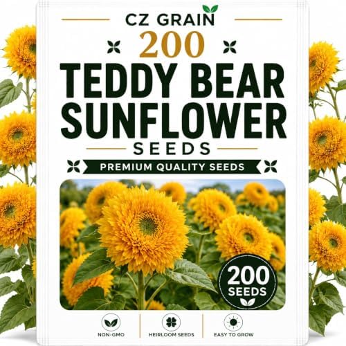 Garden Seeds for Planting, 200 Teddy Bear Sunflower by CZGrain