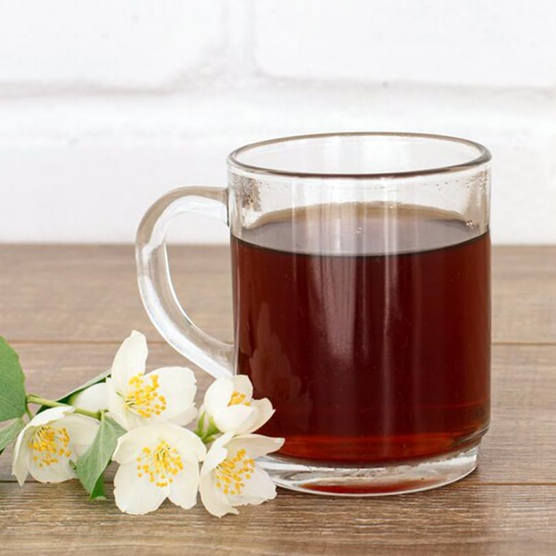 Camelia Tea Plant (4 Pack) | Real Live Plant for Sale | Perfect for Tea Lovers | Hardy and Easy to Grow for Planting | Grow Organic Tea Leaves at Home | Great for Indoor or Outdoor Gardens - Image 2