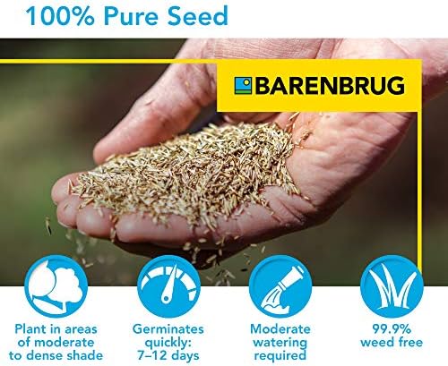 Barenbrug 25627 Turf Sense Dense Shade Grass Seed, 25 LB Bag, Excellent Wear Tolerance - Image 4