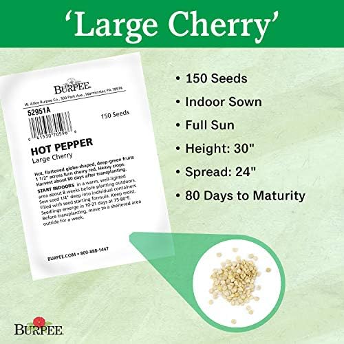 Burpee Large Cherry Hot Pepper Seeds – Hot Red Cherry Pepper Seeds for Home Garden Growing, 150 Seeds - Image 3