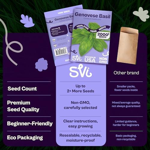SVI 2000 Genovese Basil Seeds (Ocimum basilicum) – Sweet Basil Seed Packets – Aromatic Non GMO Heirloom Large Leaf Culinary Herb Seeds, Outdoor & Indoor Herb Garden - Image 6