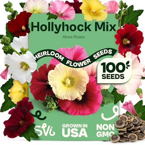 SVI 100 Mix Hollyhock Seeds (Alcea rosea) - Mallow, Common Hollyhock Seed Packets, Attracts Hummingbirds - Heirloom Flower Seeds for Outside & Inside, Meadows, Fences, Beds by SVI
