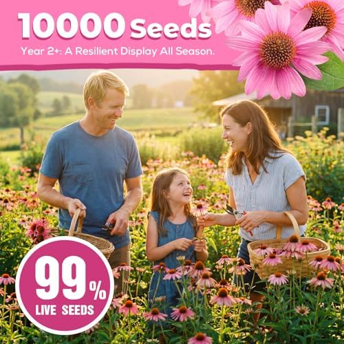 Coneflower Seeds 1 oz (Over 10,000+ Seeds) – Echinacea Seeds for Planting, Heirloom Perennial Flower Seeds, Easy to Grow for Pollinators, Flower Seeds to Plant Outside for Indoor & Outdoor Garden - Image 5