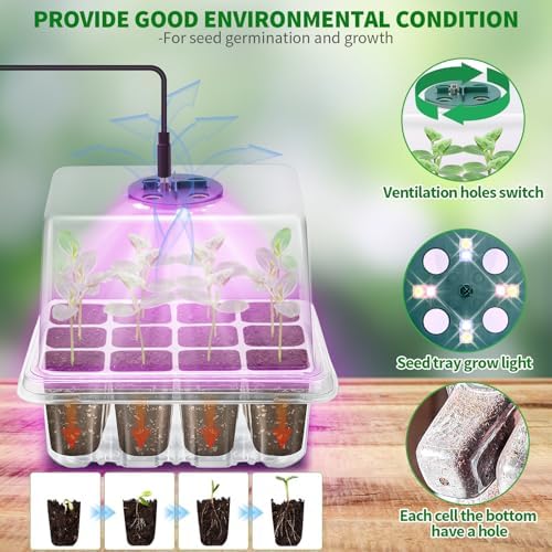 Seed Starter Trays with Grow Light Kit, 2 Pack Plant Greenhouse Propagator - Image 2