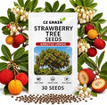 30 Strawberry Tree Seeds | Arbutus Unedo Evergreen Tree Seeds by CZGrain