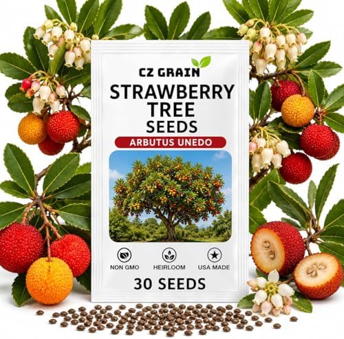 30 Strawberry Tree Seeds | Arbutus Unedo Evergreen Tree Seeds by CZGrain