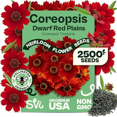 SVI 2500 Dwarf Red Plains Coreopsis Seeds (Coreopsis Tinctoria) - Calliopsis, Annual Wildflower, Non GMO Heirloom Seed - Flower Seeds in Seed Packets for Home Garden and Border, Outstanding Cut Flower by SVI
