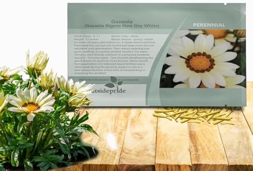 Outsidepride New Day White Gazania Seeds for Planting – 50 Pcs Perennial, Low-Maintenance, Drought-Tolerant Ground Cover Seeds for Vibrant Summer & Fall Flowers, Great for Outdoor Gardens by Outsidepride