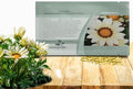 Outsidepride New Day White Gazania Seeds for Planting – 25 Pcs Perennial, Low-Maintenance, Drought-Tolerant Ground Cover Seeds for Vibrant Summer & Fall Flowers, Great for Outdoor Gardens by Outsidepride