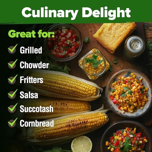 HOME GROWN Golden Bantam Sweet Corn Seeds, 100+ Seeds, Zea mays - Image 6
