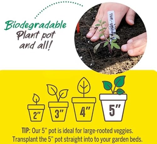 Jiffy Biodegradable Peat Pots for Seedlings, 5 Inch, 24 Pack - Image 5