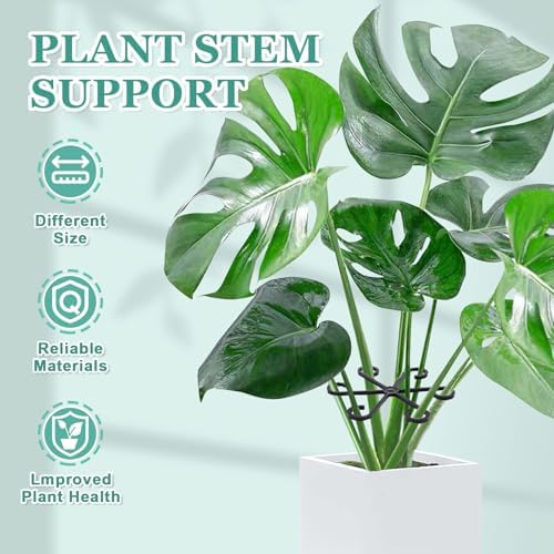 32pcs Plant Stem Support, Monstera Plant Support for Indoor Plants - Image 5
