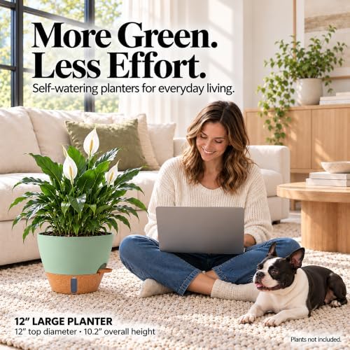8/10/12 Inch Self Watering Pots for Indoor/Outdoor Plants - Image 4
