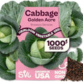 SVI 1000 Golden Acre Cabbage Seeds (Brassica Oleracea) - Green Cabbage, Fast-Growing Heirloom Seed, Non GMO - Great Vegetable Seeds in Seed Packets for Outdoors, Vegetable Garden Beds by SVI