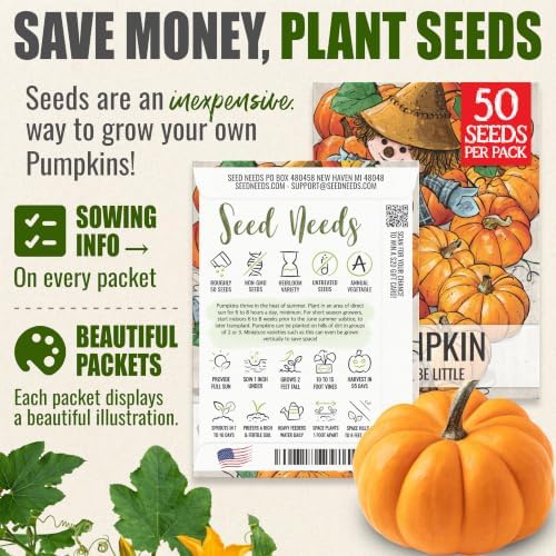Seed Needs Jack Be Little Pumpkin Seeds to Plant Vegetables - 1 Pack - Image 3