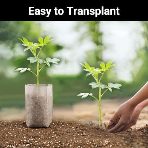 Plant Grow Bags, 400pcs Plant Nursery Bag 5.5 x6.3 Inches, Fabric Seedling Pots Non-Woven Pouch for Potato, Flower, Tomato Plant Starts & Clones, Fruit Protection Bags Home Gardening Supply - Image 4