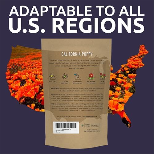 Bulk California Orange Poppy Wildflower Seeds - 5 Pounds - Over 1,600,000 Native Seeds - California State Flower! - Image 7