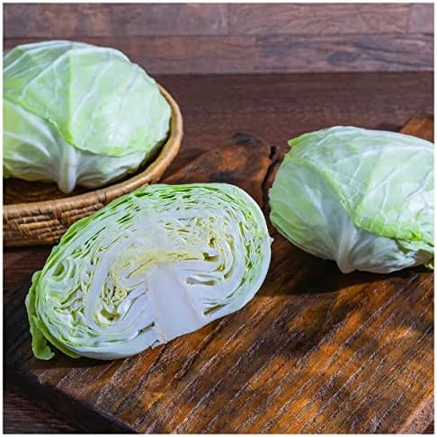 1 Oz Late Flat Dutch Cabbage Seeds - Gold Vault - Image 2