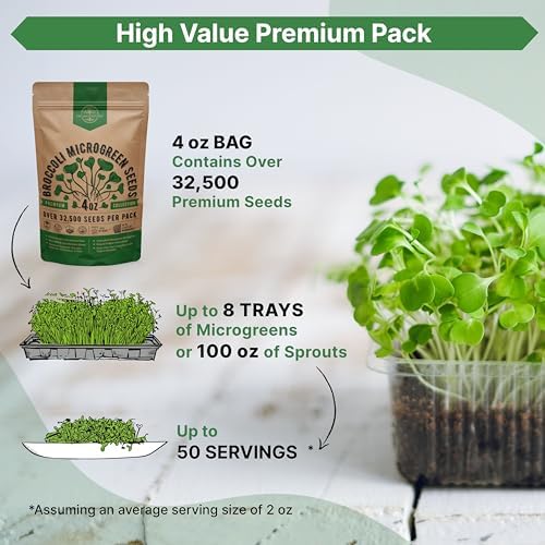 Organo Republic Broccoli Sprouting & Microgreens Seeds - 32,500 Non-GMO Heirloom Seeds, Sprouts in Bulk 4oz Resealable Bag for Planting & Growing in Soil, Coconut Coir, Aeroponic & Hydroponic System - Image 3
