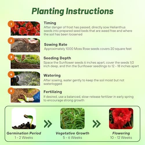 Outsidepride Red Moss Rose Seeds - 5000 Pcs Annual, Drought & Heat Tolerant, Pollinator Friendly Ground Cover Seeds for Planting w/Vibrant Blooms & Succulent Foliage, Ideal for Xeriscaping - Image 5