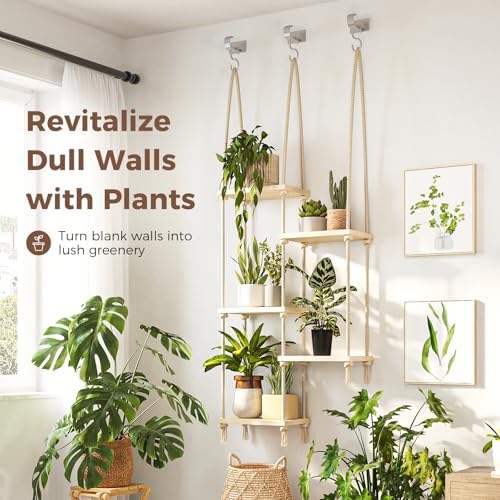 Bamworld Hanging Shelves Plant Hanger Indoor Window Plant Shelves - Image 3