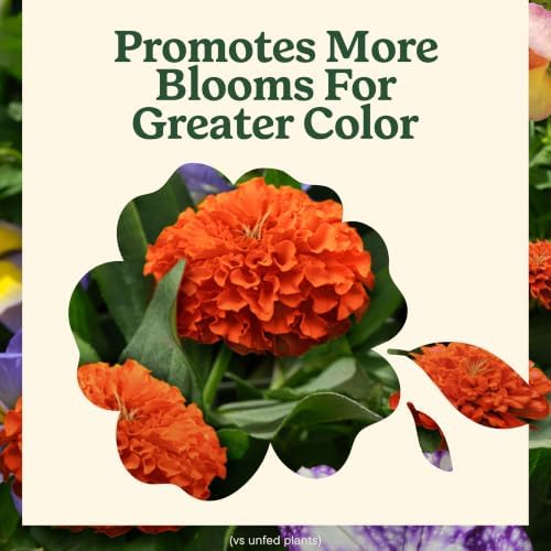 Miracle-Gro LiquaFeed Bloom Booster Flower Food, 16 fl. oz. (2 Pack) - Image 6