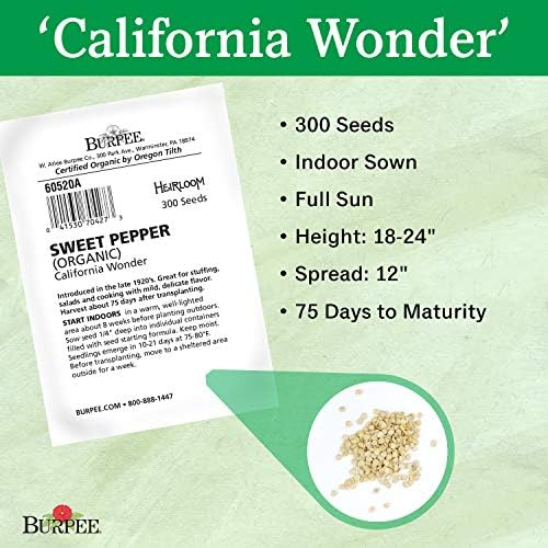 Burpee California Wonder (Organic) Sweet Pepper Seeds 300 seeds - Image 3