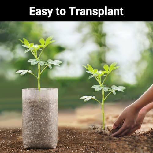 Seedling Grow Bags for Plants Bulk, 6x8 inches Sturdy Non-Woven Nursery Bags, 100PCS Solid Plant Grow Seed Starter Bag, Fabric Seedling Pots Pouches Planting Home Garden Supply - Image 4