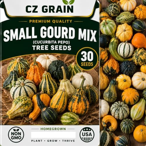 Seeds for Planting, 40 Small Gourd Mix by CZGrain