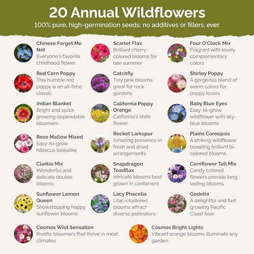 Eden Brothers All Annual Wildflower Mixed Seeds for Planting, 25 lb, 12,00,000+ Seeds with Sunflower, Indian Blanket, Scarlet Flax, Attracts Pollinators, Plant in Spring, Zones 3, 4, 5, 6, 7, 8, 9, 10 - Image 3