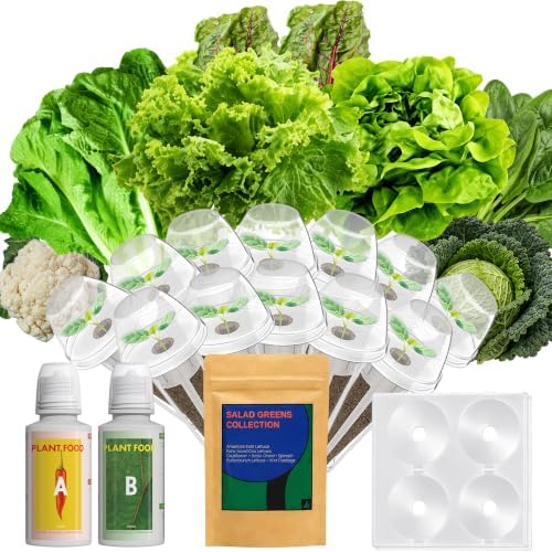 LYKOCLEAN Lettuce & Salad Greens Seed Pods Kit for AeroGarden, Ahopegarden - Includes American Fast Lettuce, Paris Island Cos & Buttercrunch, 12 pods, 400+ Seeds by LYKO