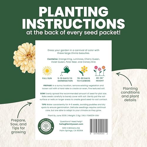 Zinnia California Giants - Large 2,500mg Envelope - 250 Flower Seeds for Planting - Zinnia elegans - Image 4