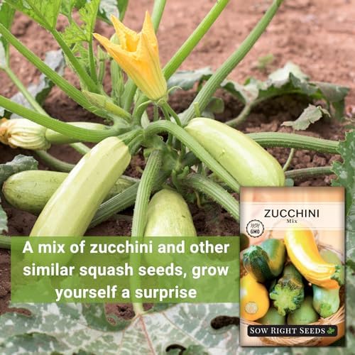 Sow Right Seeds - Mixed Zucchini Seed for Planting Summer Squash Garden 4pk - Image 3