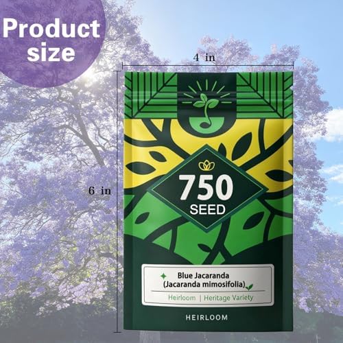 Blue Jacaranda Tree Seeds, Blue-Violet Blooming Ornamental Deciduous Trees - Image 7