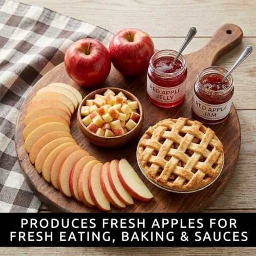 50 Apple Tree Seeds | Malus Domestica Fruit Tree Seeds for Planting - Image 5