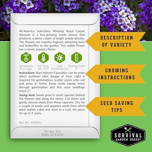 Purple Alyssum Seeds for Planting - Survival Garden Seeds (2 Pack) - Image 2