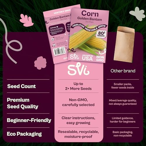 SVI 80 Golden Bantam Sweet Corn Seeds (Zea mays) – Yellow Sweet Corn Seed Packets Non GMO – Fast Growing Heirloom Vegetable Seeds, Outdoor Vegetable Garden & Home Garden - Image 6