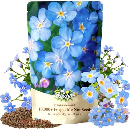 10,000+ Forget-Me-Not Seeds, Blue Cynoglossum amabile Flower for Planting by Unknown