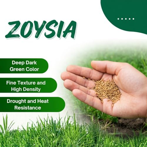 20000 Zoysia Grass Seeds, Zoysia Grass Seeds for Lawn, Low Maintenance - Image 5