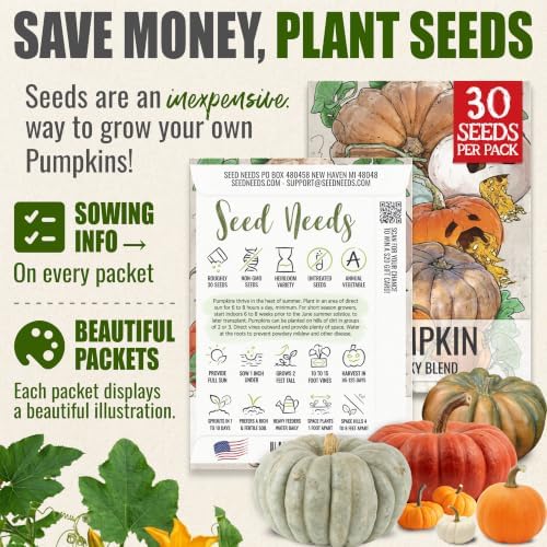 Seed Needs Spooky Blend Pumpkin Seeds to Plant Vegetables - 10 Packs - Image 3