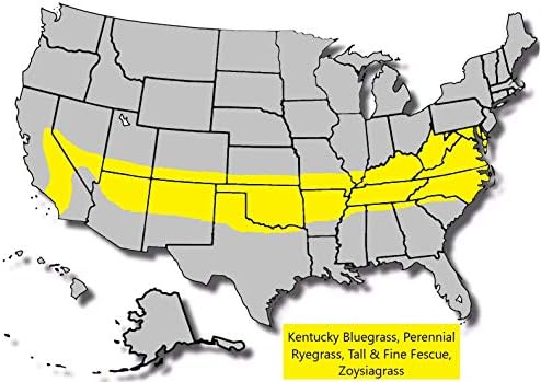 Jacklin Seed - Heisman Mix | 85% Kentucky Bluegrass, 15% Perennial Ryegrass | Certified Grass Seed (50 lbs (20,000 sq ft)) - Image 5