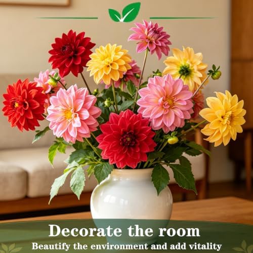 Dahlia Seeds for Planting, Garden Seeds 500ct, Vibrant Mixed Colors Flower - Image 4