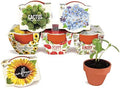 BUZZY Seeds Daydream Grow Kit 6-Pack, Terracotta Pots, Assorted Flowers by BUZZY